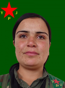 Bêrîvan Kobanê