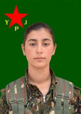 Berivan Mira