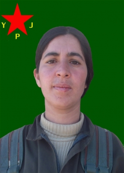 Bermal Dunya