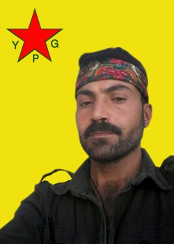 بشير حسن