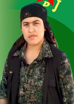 Bihar Efrîn