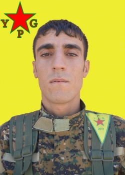 Çekdar Amed