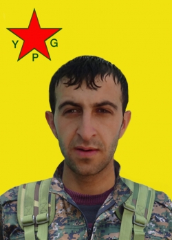 Çekdar Amed