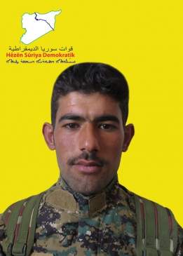Cemîl Herib