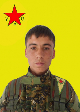 Cudî Efrîn
