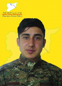 Cudî Kobanê
