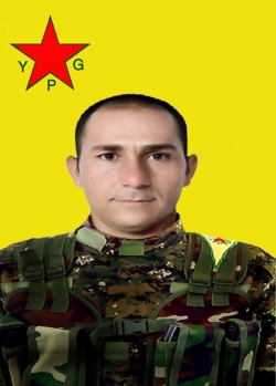 Delîl Efrîn