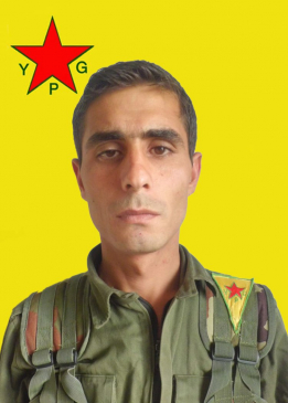 Milîtan Kobanê