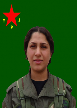 Nazlican Zagros