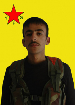 Rojhat Amûdê