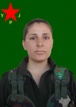 Vejîn Çiya