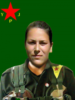Zenda Efrîn