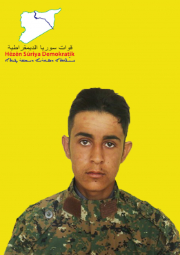 جسور منصورة