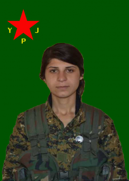 Cîhan Botan