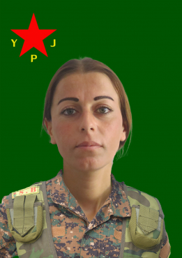 ديلار حسكة