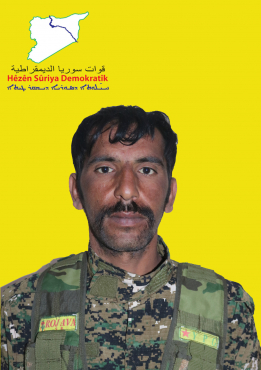 دلشير تربسبيه