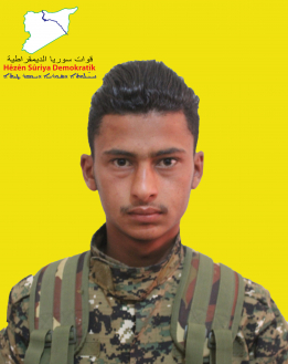 Egîd Hesekê