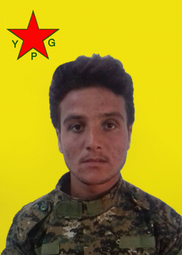 أحمد شدادي