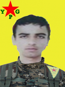 Elî Amûdê
