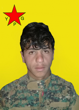 علي ديرالزور