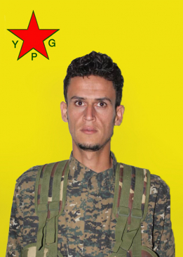 علي شير شدادي