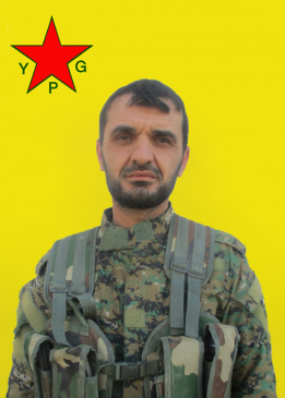 Heqî Hol