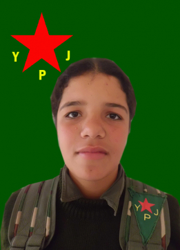 Jîn Kobanê