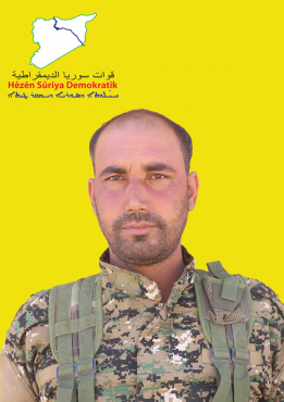رامي تل حميس