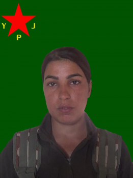 Şîrîn Viyan