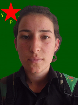 ستيرا ولات