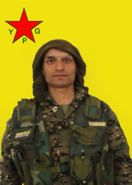 Bawer Sîser