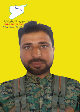 درعي هجين