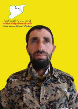 Ehmed Şedadê