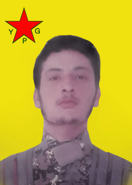 علي سلوك