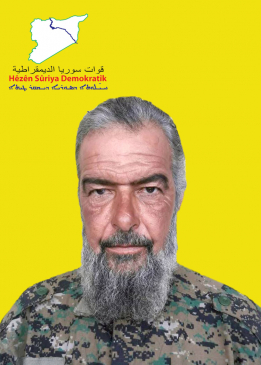 الصقر شدادي