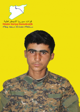 أسد ديرالزور