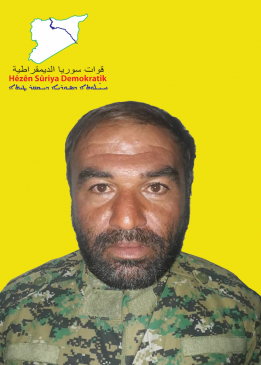 أسد حلب