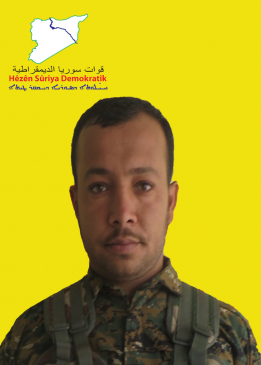 حنس ضامنة