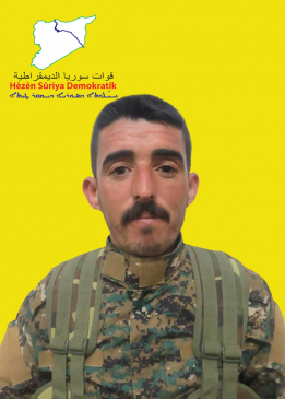 كريم شدادي