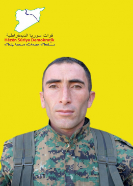 شيار ميدانا