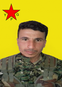 Tahir Şedade