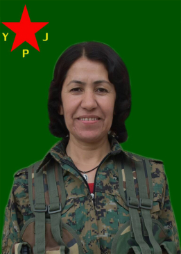 Tekoşîn Botan