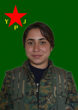 Tekoşîn Cudî
