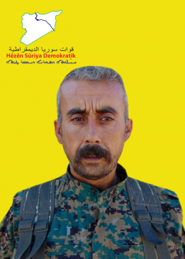 Tekoşîn Şêrewa
