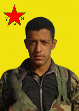 Usama Elsehu