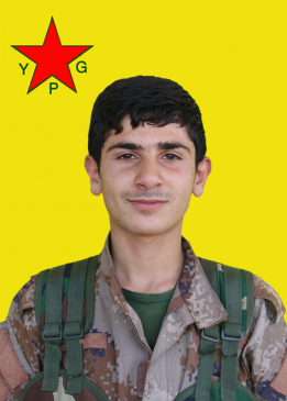 Welat Şer