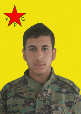 Cudî Kobanê