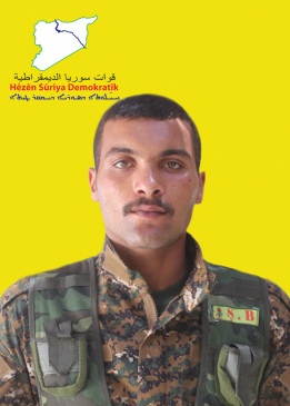 دلشير جيا
