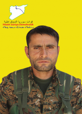 أردال برخدان