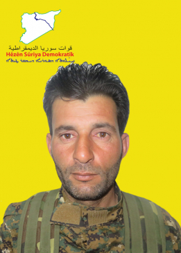 أسد حشيش